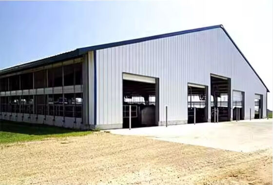 Safety Steel Structure Cow Shed House Agricultural Farm Steel Building