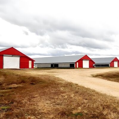 Modern Steel Chicken Farm Building , Light Steel Structure Poultry House