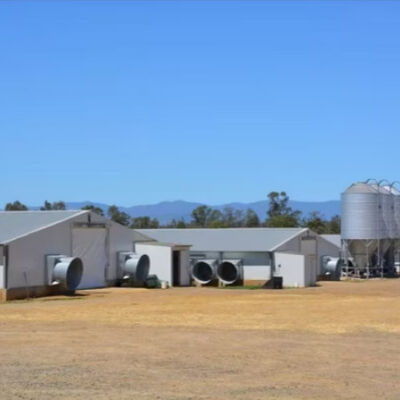 Light Weight Steel Structure Chicken House Customized Size / Color