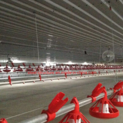 Customized Modern Steel Structure Chicken House Layer Cage For Chickens Poultry Farm