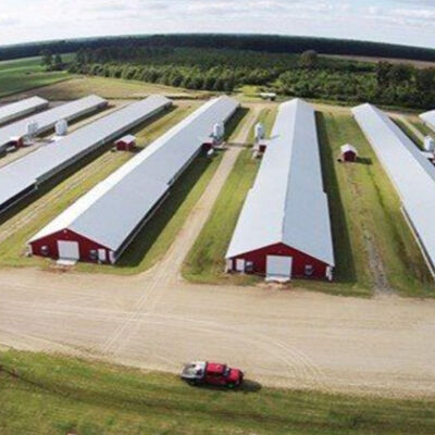 Customized Modern Steel Structure Chicken House Layer Cage For Chickens Poultry Farm