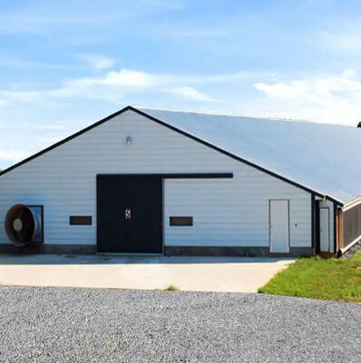 Safety Steel Structure Chicken House Lightweight Steel Frame Building