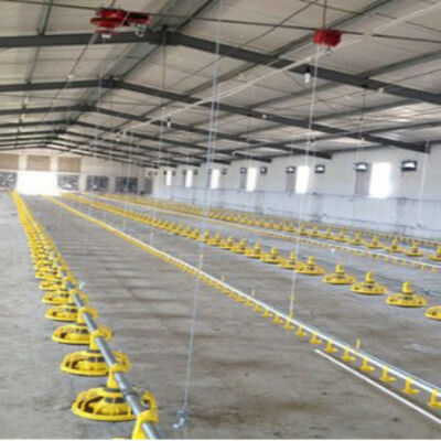 Safety Steel Structure Chicken House Lightweight Steel Frame Building