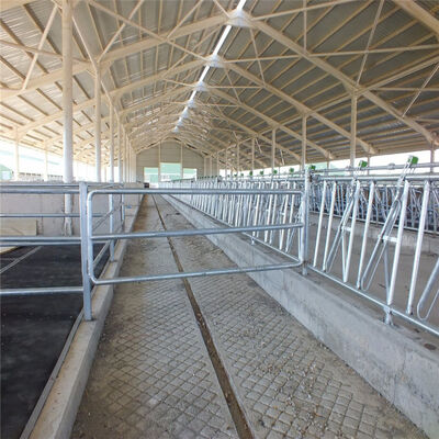 Lanjing Prefabricated Steel Structure Farm House , Modern Metal Livestock Shelters
