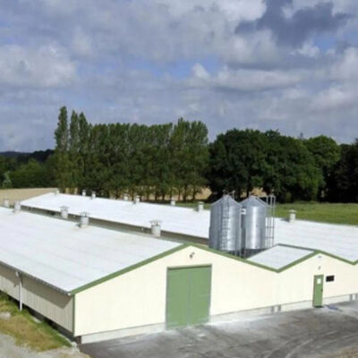 Lightweight Steel Frame House , Chicken Farm Structure Customized