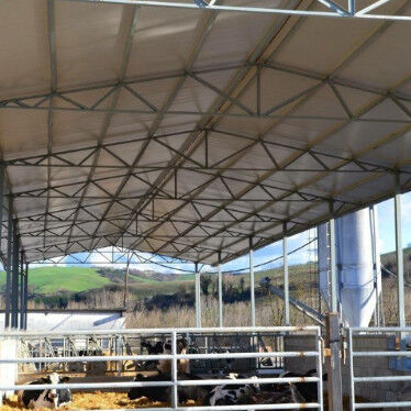 Durable Steel Structure Cow Shed Fire Resistant Long Lasting Metal Livestock Shed