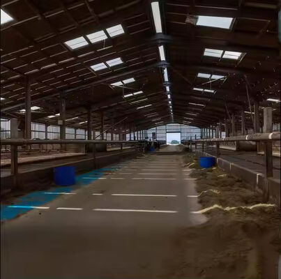 Farmhouse Style Steel Structure Cow Shed Prefabricated Temporary Storage Buildings