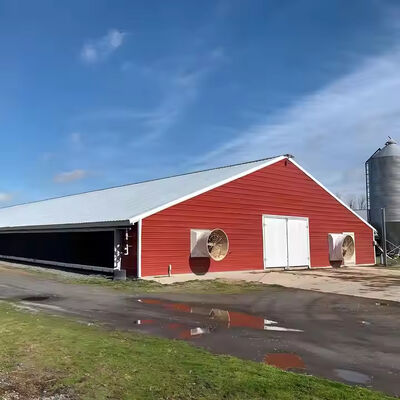 Industrial Steel Structure Shed , Light Frame Steel Houses Easy Installation