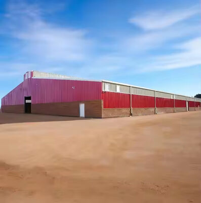 Prefab Steel Structure Cow Shed Earthquake Resistant For Cattle Management