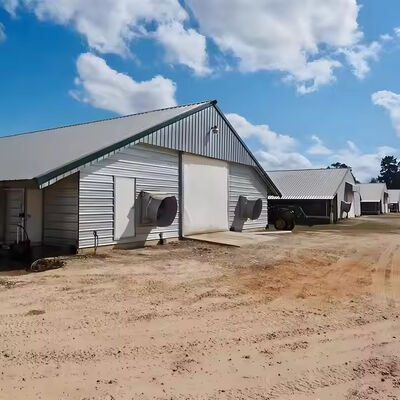 Prefab Steel Structure Chicken House Building , Light Steel Fabricated Building