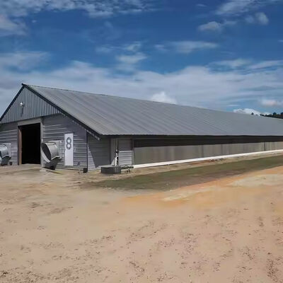 Prefab Steel Structure Chicken House Building , Light Steel Fabricated Building