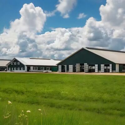 Q235 Q345 Steel Structure Cow Shed Temporary Prefab Metal Storage Sheds