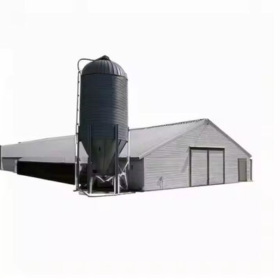 Customized Steel Structure Chicken House Industrial Weather Resistant