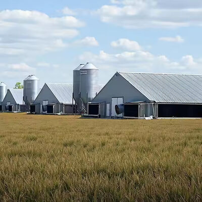 Customized Steel Structure Chicken House Industrial Weather Resistant