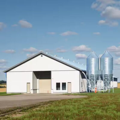 Customized Steel Structure Chicken House Industrial Weather Resistant