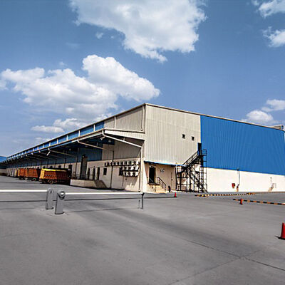 Workshop & Warehouse Steel Structure Buildings for Chicken Farm & Cow Shed for Farm Use