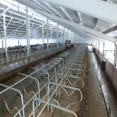 Easy Install Modern Cattle Shed , Prefabricated Metal Farm Barns