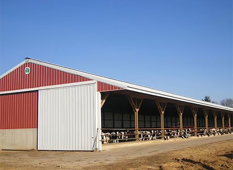 Light Prefab Steel Livestock Barns , Custom Steel Shed Construction