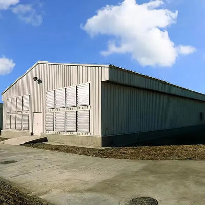 Modern Economical Steel Chicken Farm Customized Color Graphic Design