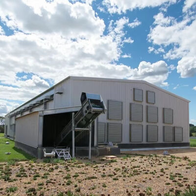 Modern Economical Steel Chicken Farm Customized Color Graphic Design