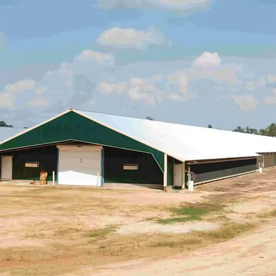 Commercial Prefabricated Steel Building Durable Easy Install For Broiler Chickens Farms