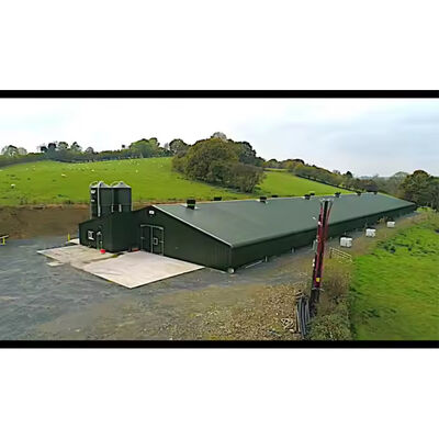 Commercial Prefabricated Steel Building Durable Easy Install For Broiler Chickens Farms