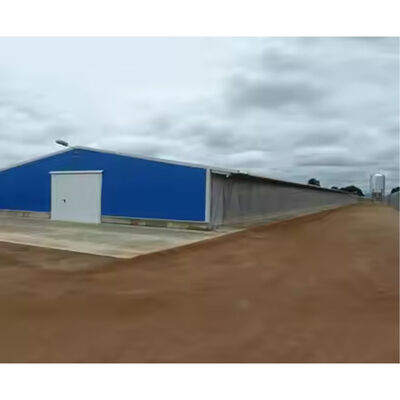 Commercial Prefabricated Steel Building Durable Easy Install For Broiler Chickens Farms