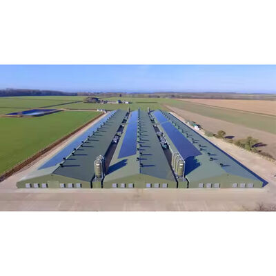 Commercial Prefabricated Steel Building Durable Easy Install For Broiler Chickens Farms