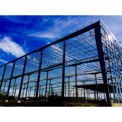 Steel Color Sheet Steel Structure Warehouse Q235B Q355B High Customizability​