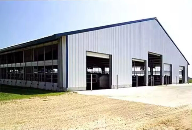 Safety Steel Structure Cow Shed House Agricultural Farm Steel Building
