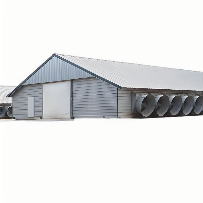 Light Steel Structure Shed Construction Customized Steel Broiler Poultry House