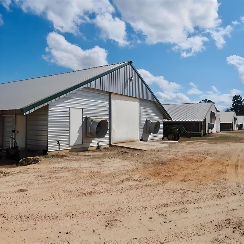 Light Steel Structure Shed Construction Customized Steel Broiler Poultry House