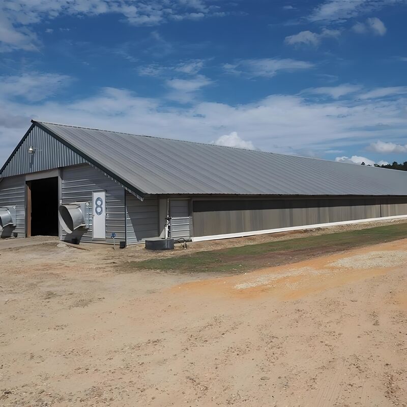 Light Steel Structure Shed Construction Customized Steel Broiler Poultry House