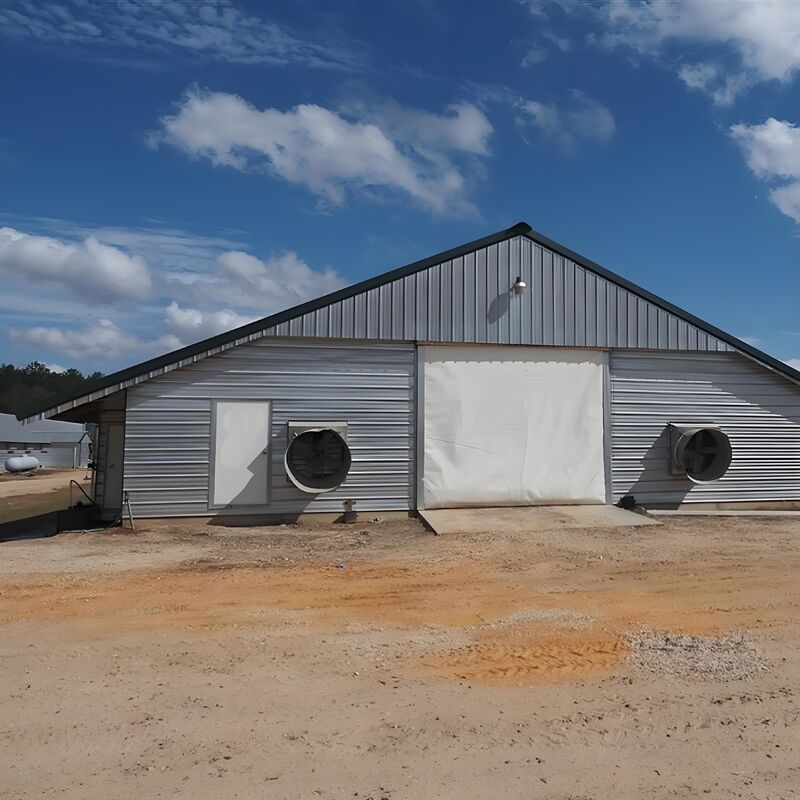 Light Steel Structure Shed Construction Customized Steel Broiler Poultry House