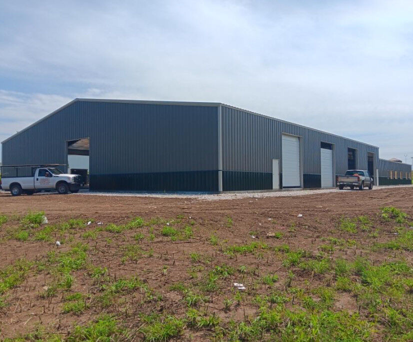 Prefab and Application Fields Steel Structure Warehouse with Customized Color