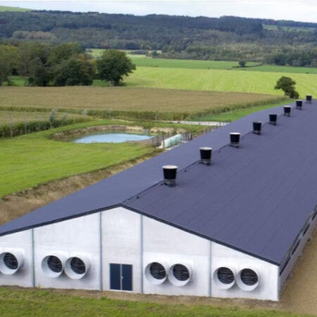 Easy Assembly Steel Structure Chicken House Customized For Poultry Farm Building