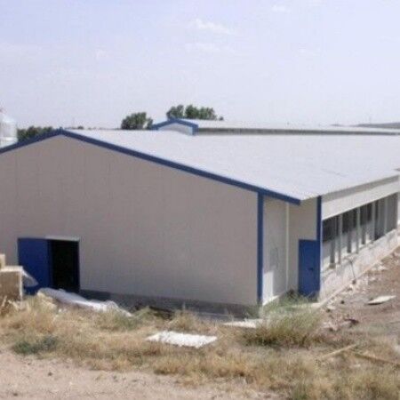 Easy Assembly Steel Structure Chicken House Customized For Poultry Farm Building