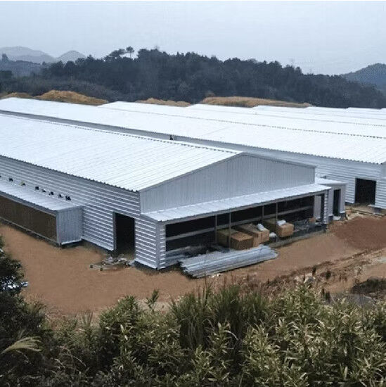 Easy Assembly Steel Structure Chicken House Customized For Poultry Farm Building