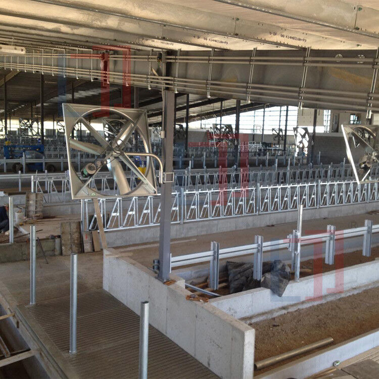 Dairy Agricultural Steel Framed Building Easy Install Prefabricated Light Steel Structure