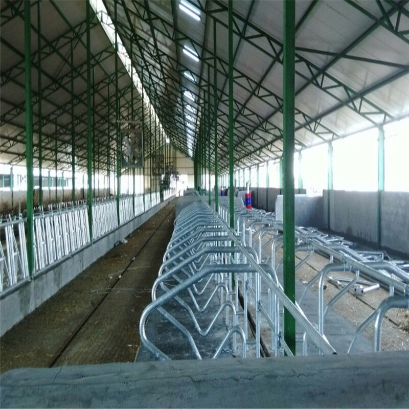 Lanjing Prefabricated Steel Structure Farm House , Modern Metal Livestock Shelters