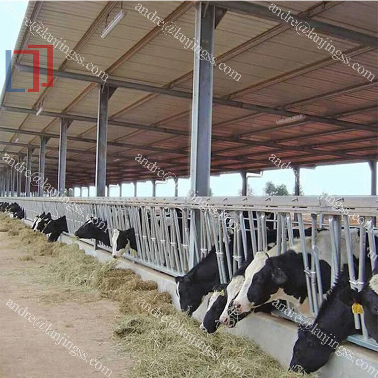 Ventilation Steel Structure Cow Shed , Durable Steel Livestock Shelter For Dairy Farm