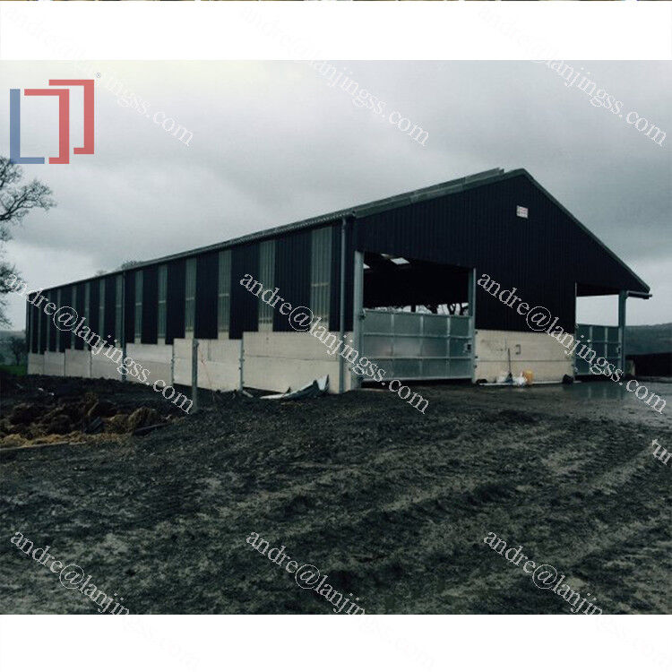 Ventilation Steel Structure Cow Shed , Durable Steel Livestock Shelter For Dairy Farm