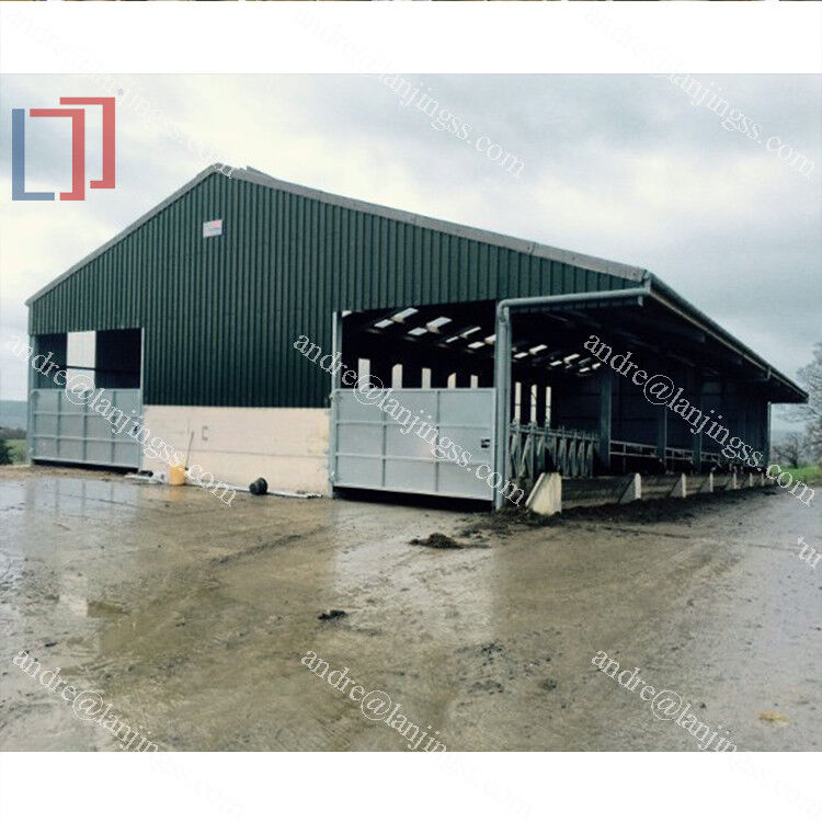Ventilation Steel Structure Cow Shed , Durable Steel Livestock Shelter For Dairy Farm