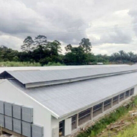 Lightweight Steel Frame House , Chicken Farm Structure Customized