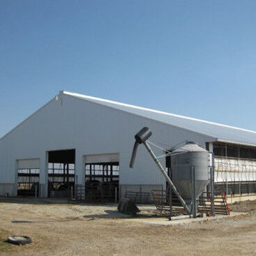 Durable Steel Structure Cow Shed Fire Resistant Long Lasting Metal Livestock Shed