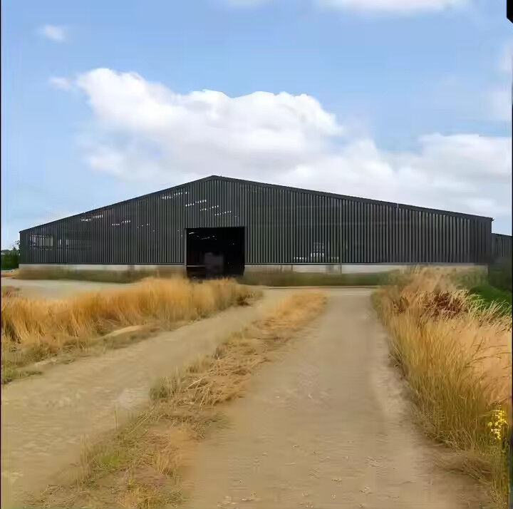 Farmhouse Style Steel Structure Cow Shed Prefabricated Temporary Storage Buildings