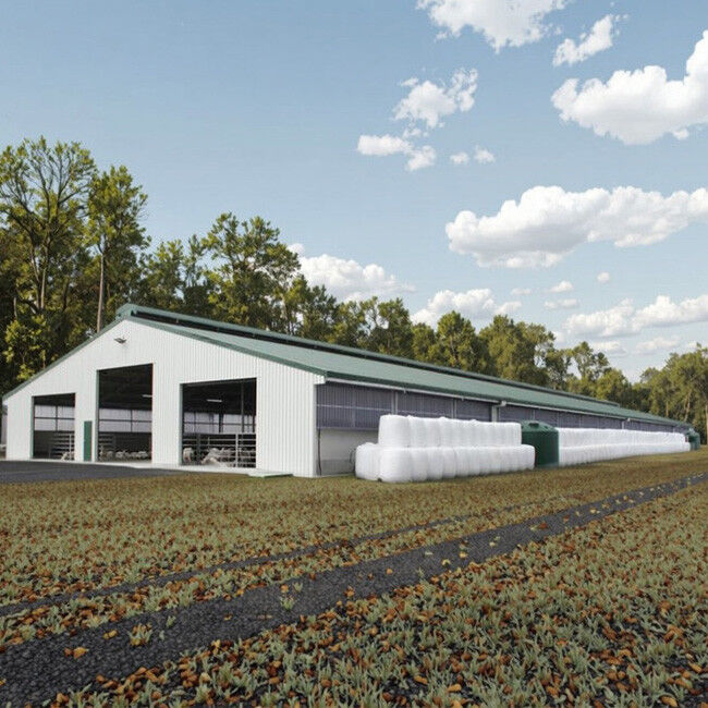 Barn Factory Light Steel Structure Cow Shed Barn , Prefabricated Steel Dairy Barns