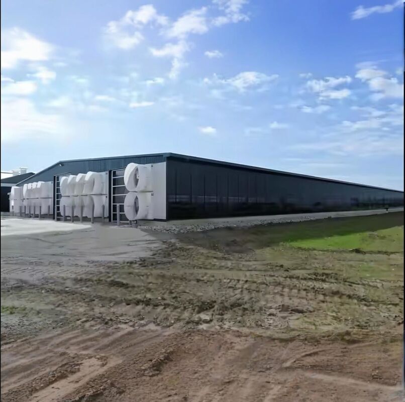 Q235 Q345 Steel Structure Cow Shed Temporary Prefab Metal Storage Sheds