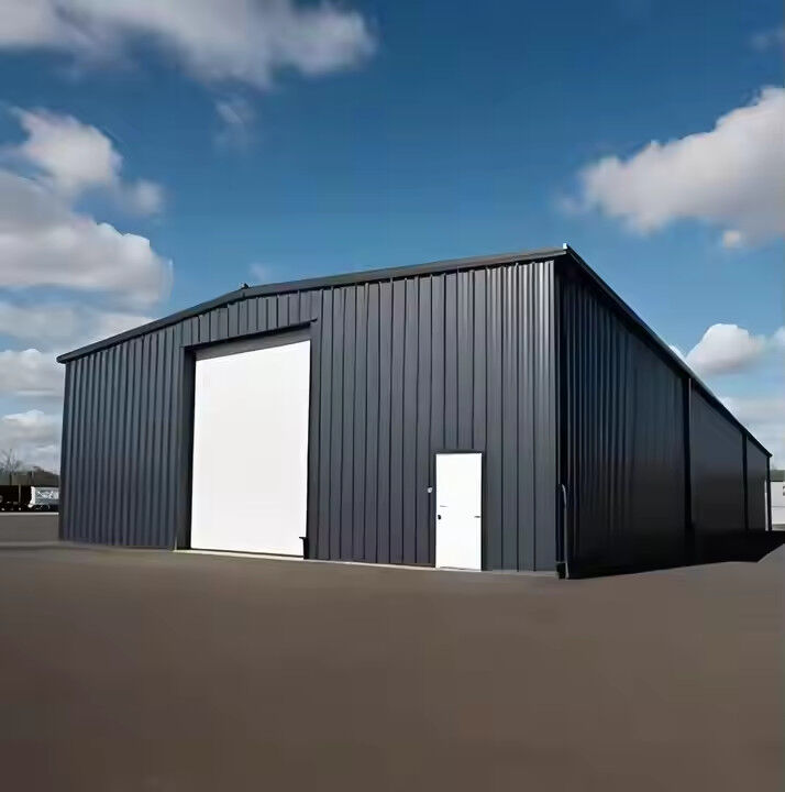 Prefabricated Steel Structures Building Hurricane Proof Large Span Steel Structure Workshop
