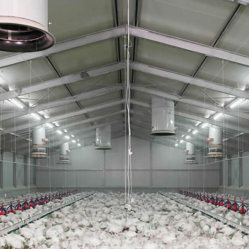 Custom Modern Steel Frame House , High Strength Metal Chicken House